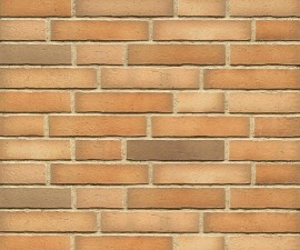 "Feldhaus Klinker" klinkerinės plytelės R917